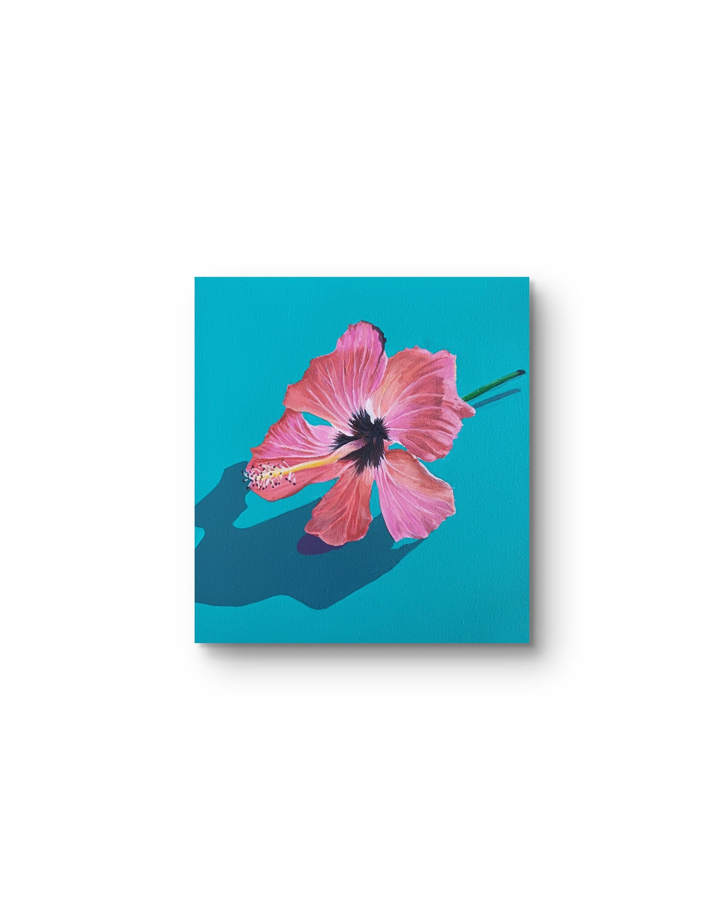 ACRYLIC ART - HIBISCUS TEA - Belong Design